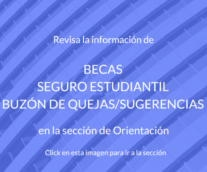 Orientación