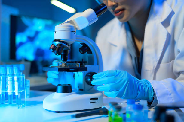 Imagen no encontrada