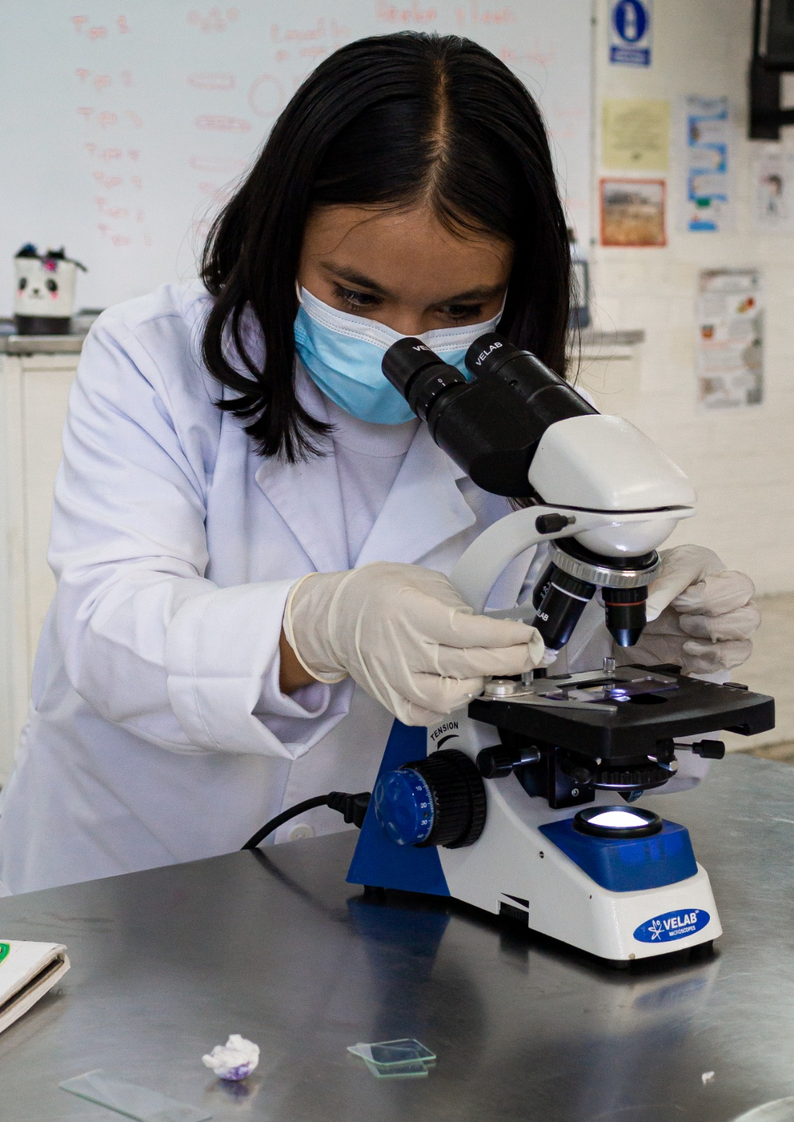 Imagen no encontrada